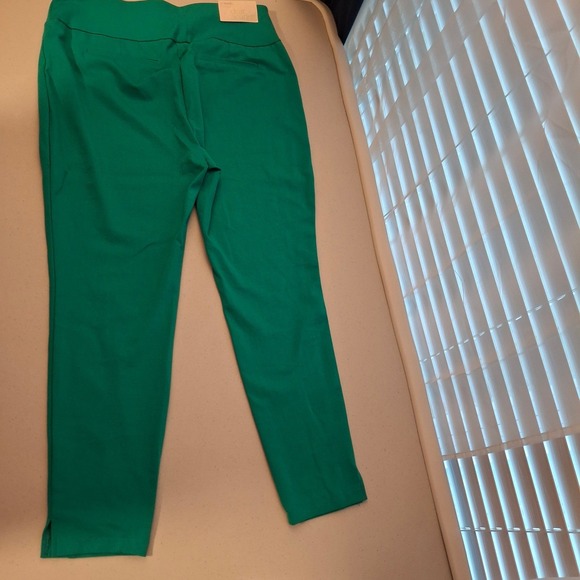 NWT Dear Scarlett 2X It's Magic Skinny 28" Stretch Pull On Kelly Green Pants - Picture 2 of 6